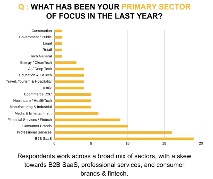 Which sectors do fractional marketing leadership support